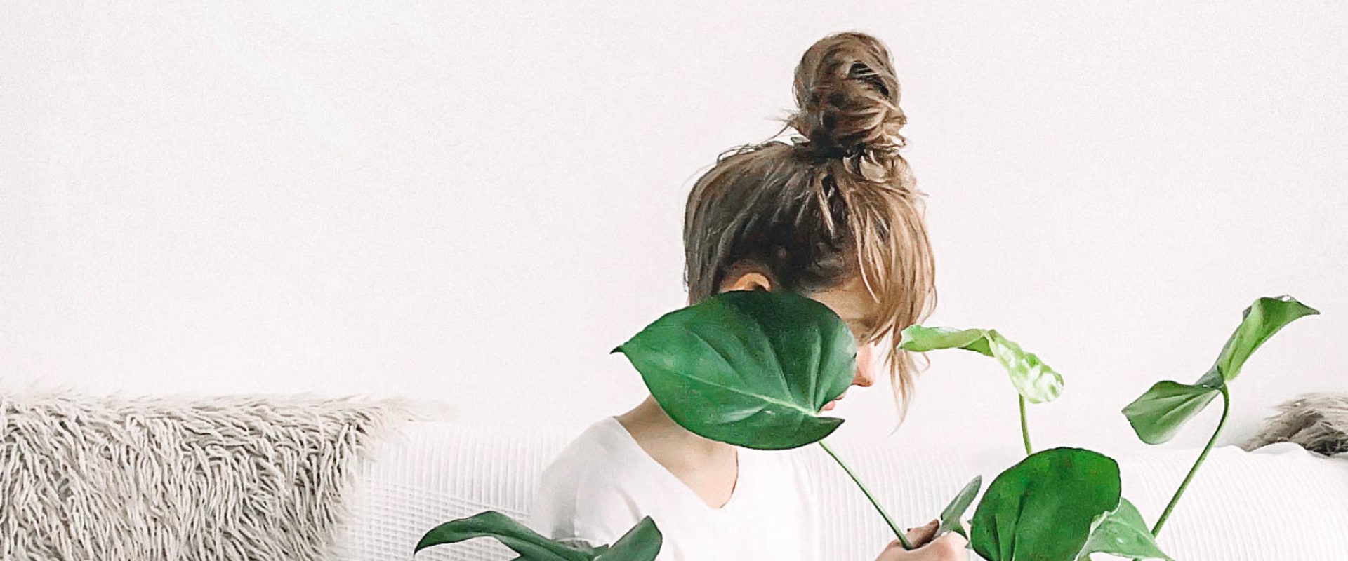 5 Essential Elements for a Healthy Lifestyle: A Comprehensive Guide to Healthy Living